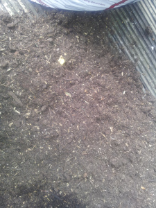 (Fig2) Garden centre compost laid out dry