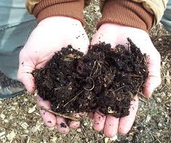 (Fig 3) Typical cold compost